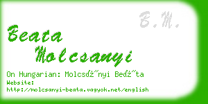 beata molcsanyi business card